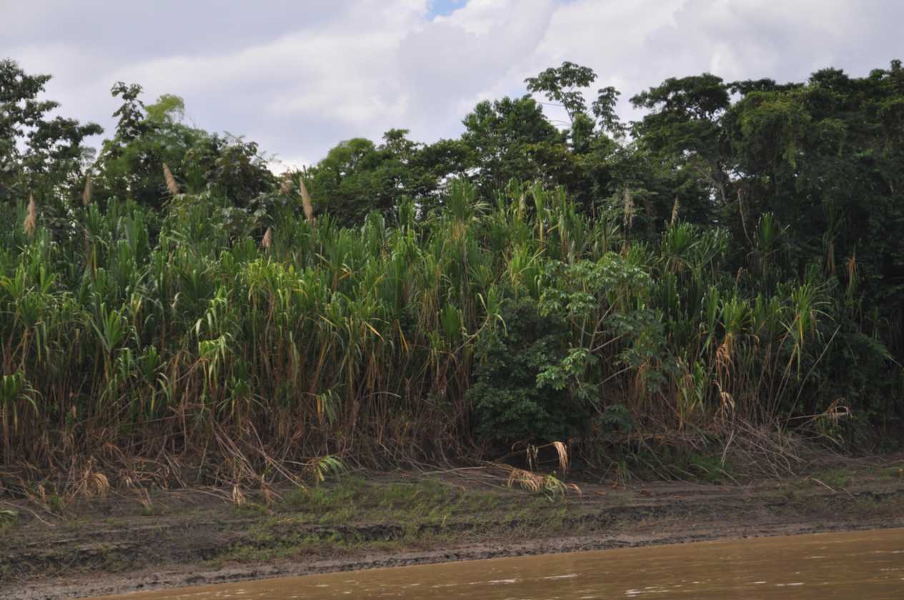 022 110521 Puerto Maldonado