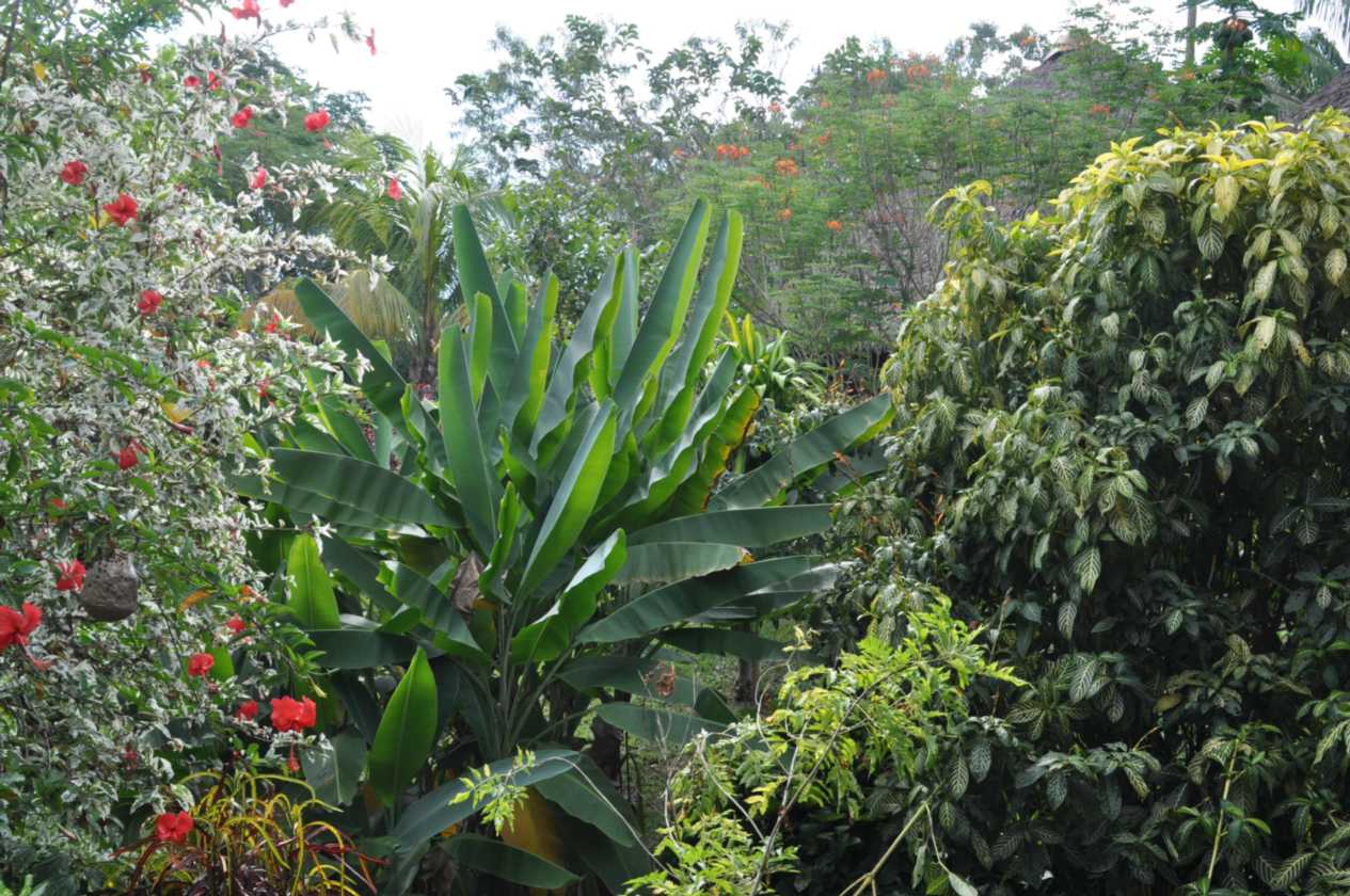 027 110521 Puerto Maldonado