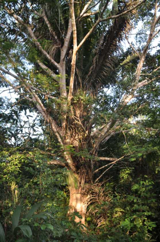 038 110521 Puerto Maldonado