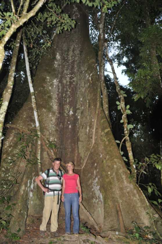 048 110521 Puerto Maldonado