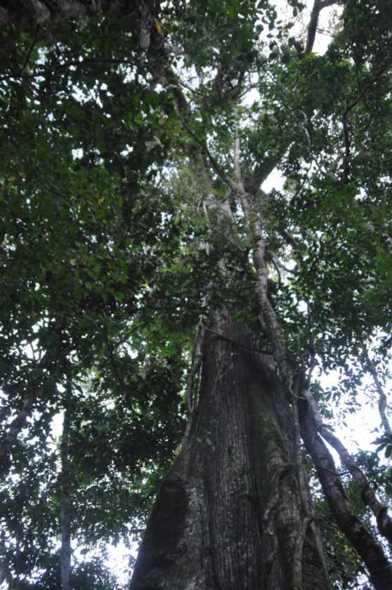 049 110521 Puerto Maldonado