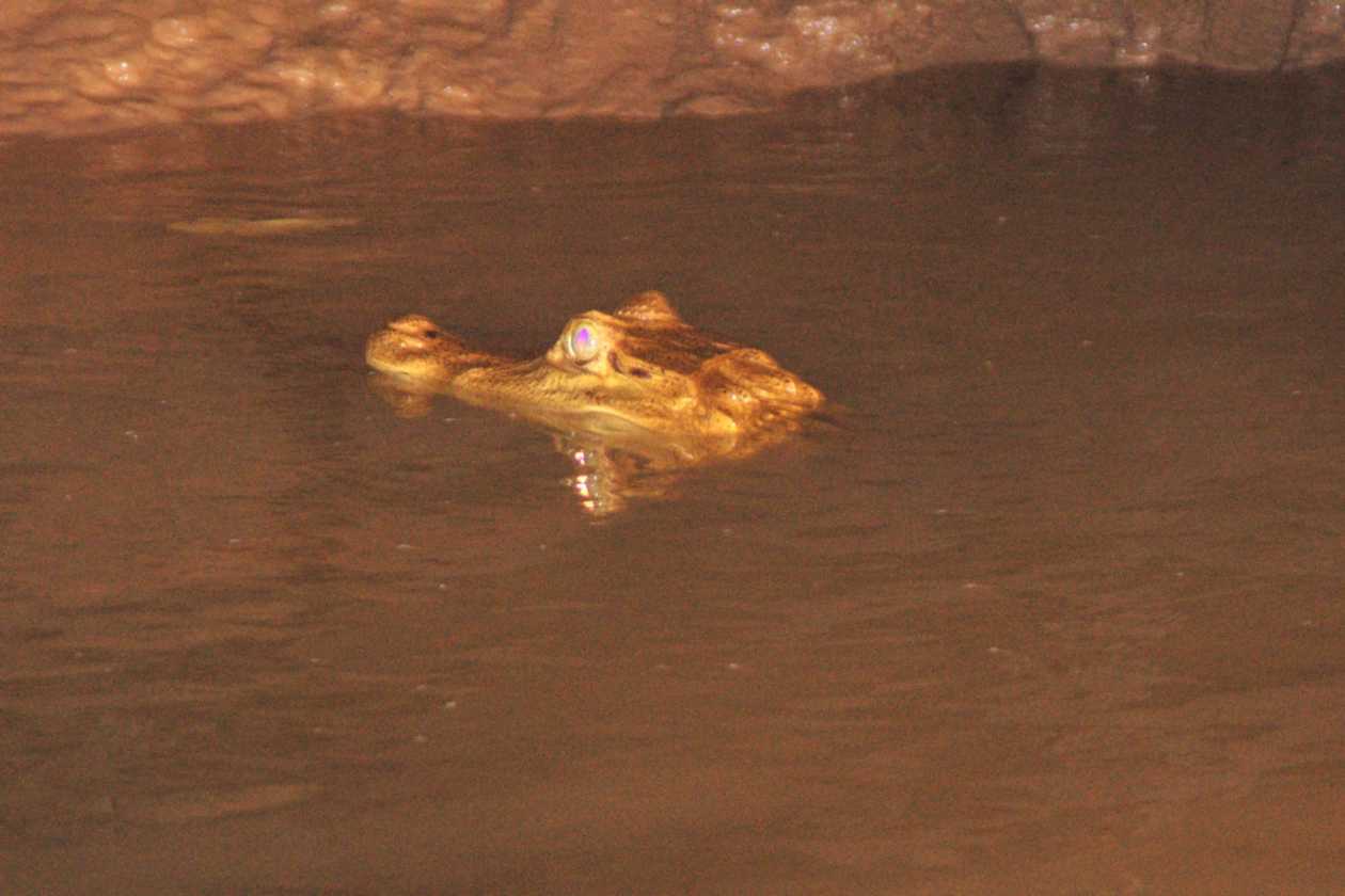 054 110521 Puerto Maldonado