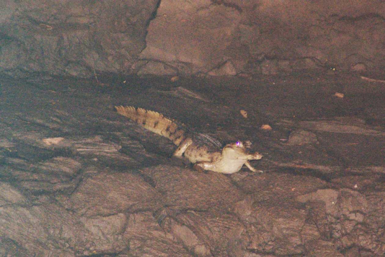 055 110521 Puerto Maldonado
