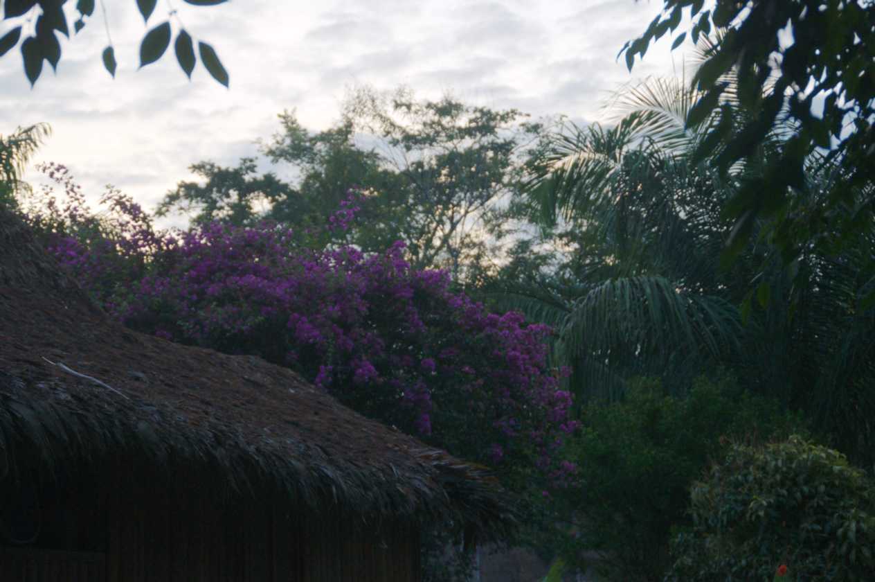 001 110522 Puerto Maldonado