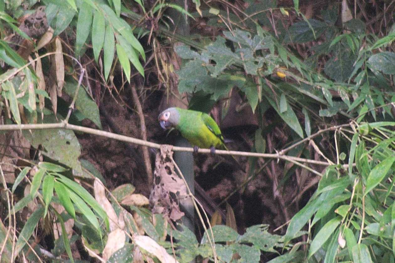 002 110522 Puerto Maldonado