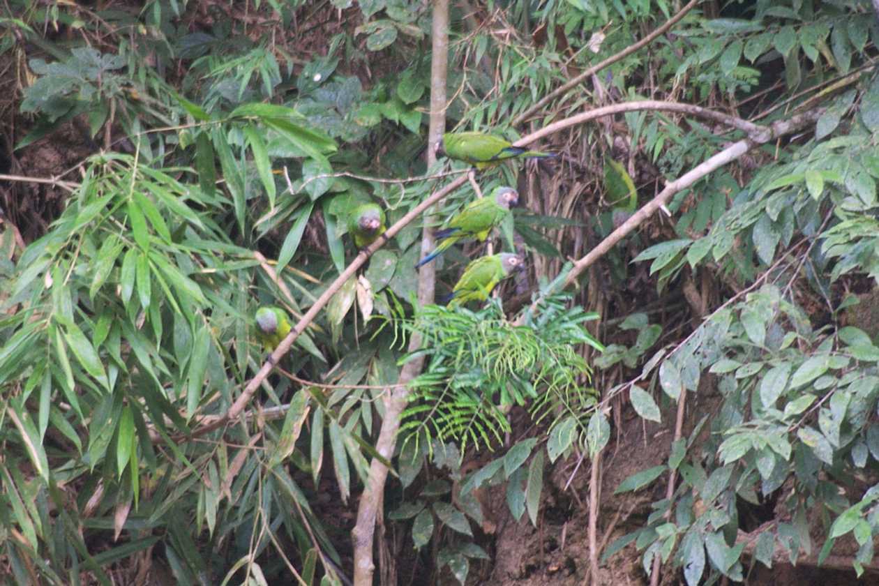 003 110522 Puerto Maldonado