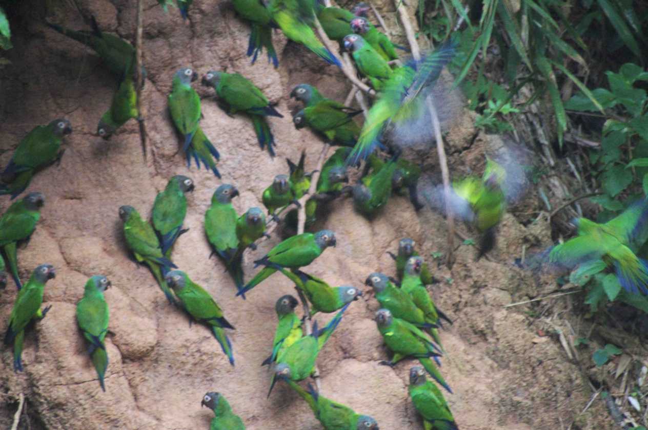 017 110522 Puerto Maldonado