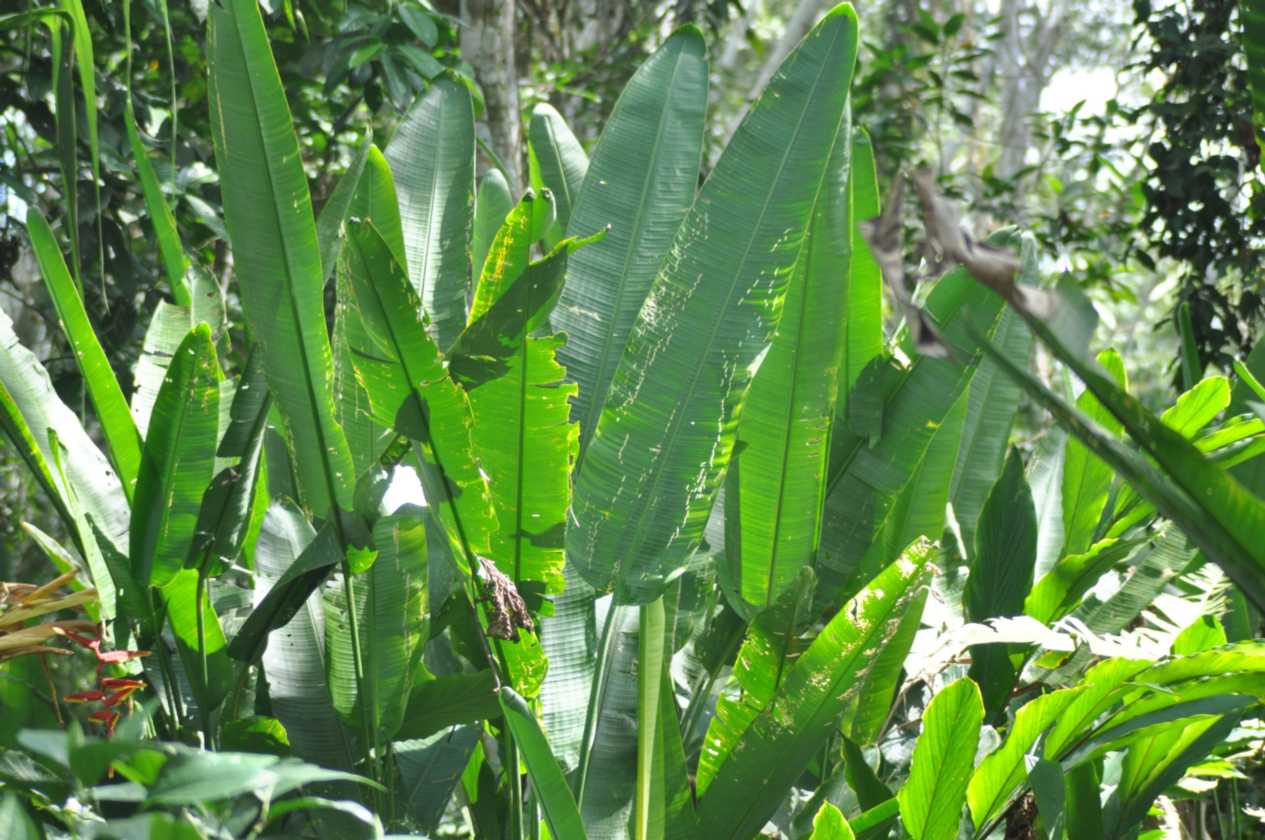 034 110522 Puerto Maldonado
