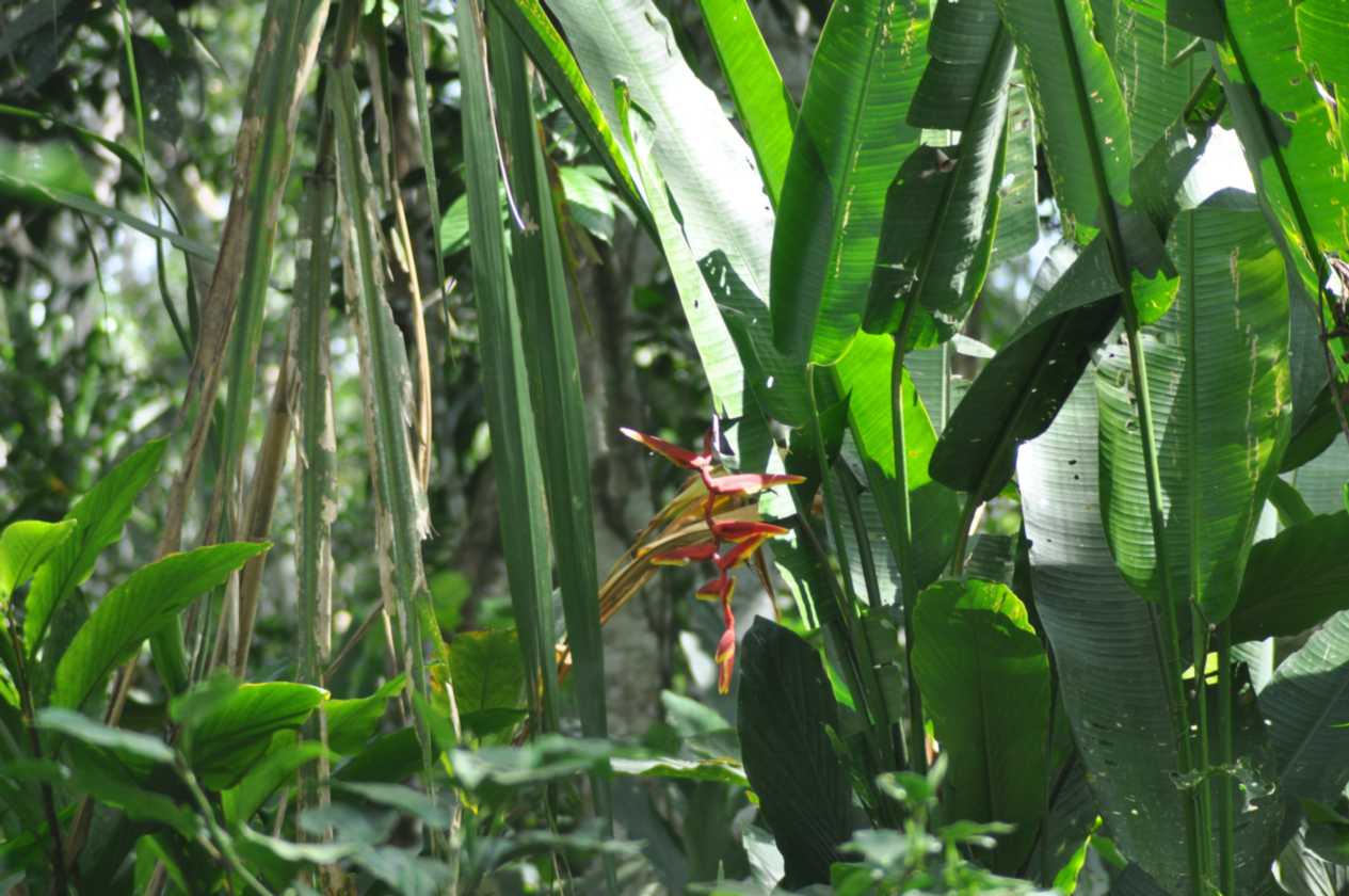 035 110522 Puerto Maldonado