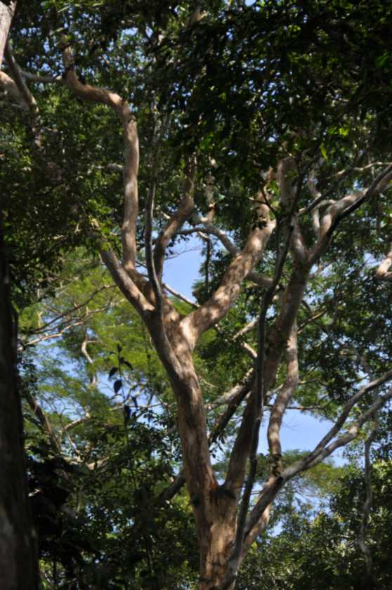 039 110522 Puerto Maldonado
