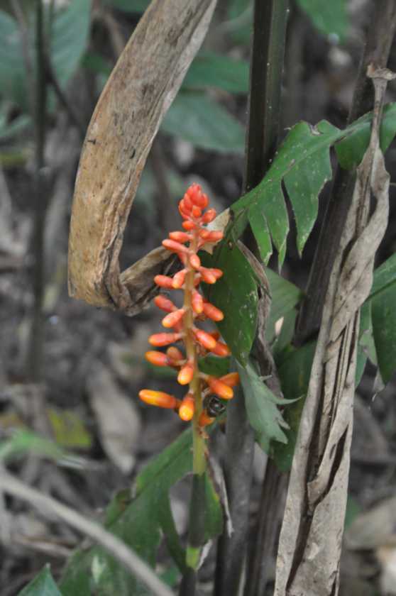 040 110522 Puerto Maldonado