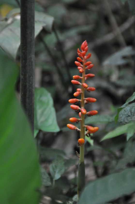 042 110522 Puerto Maldonado