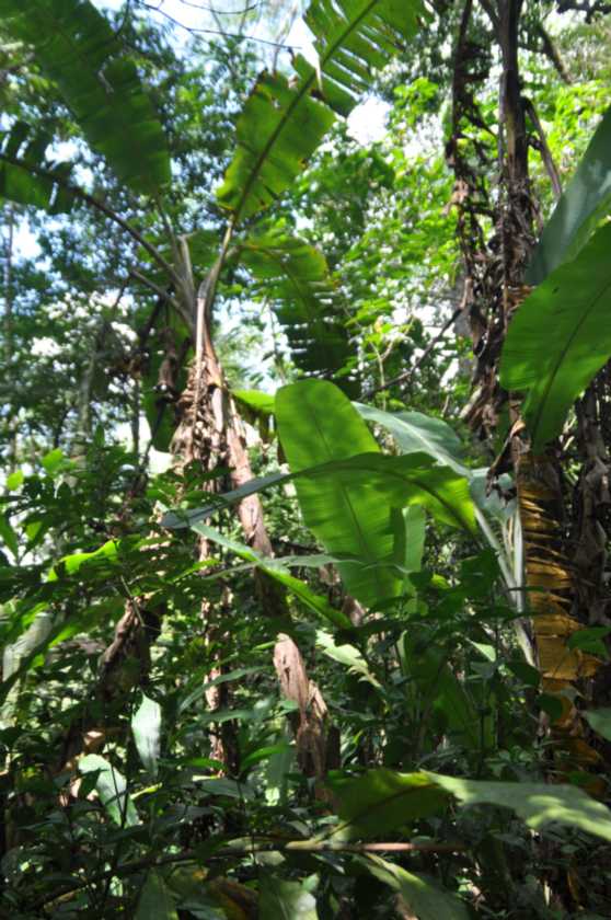 043 110522 Puerto Maldonado