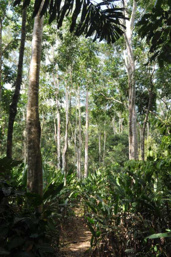 044 110522 Puerto Maldonado