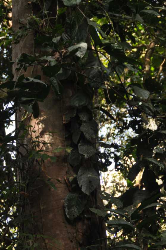 045 110522 Puerto Maldonado