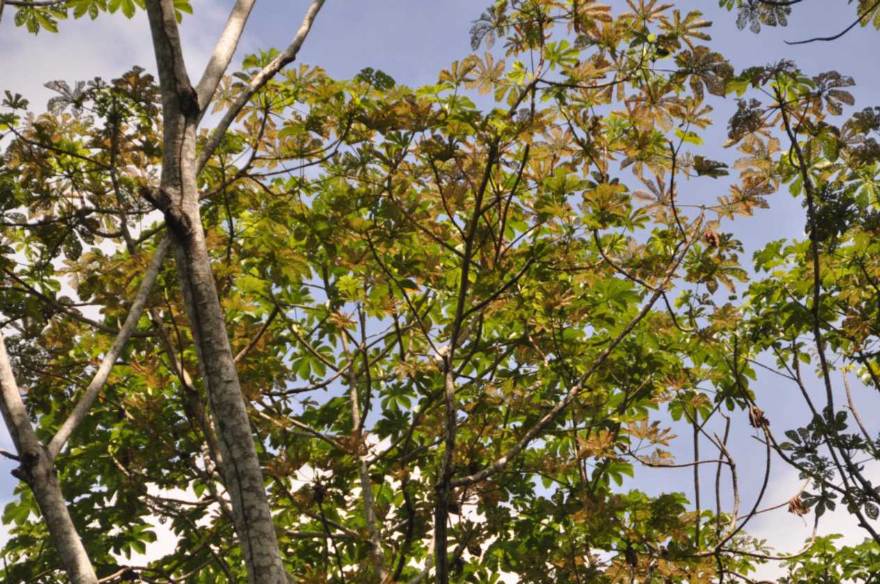 050 110522 Puerto Maldonado