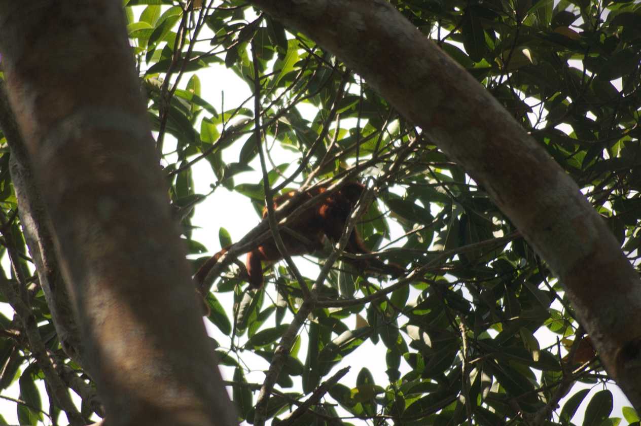 067 110522 Puerto Maldonado