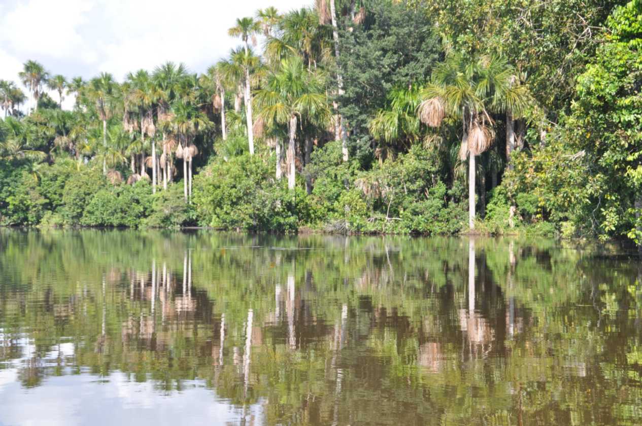 075 110522 Puerto Maldonado
