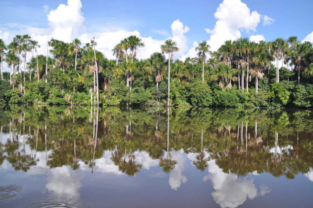 076 110522 Puerto Maldonado