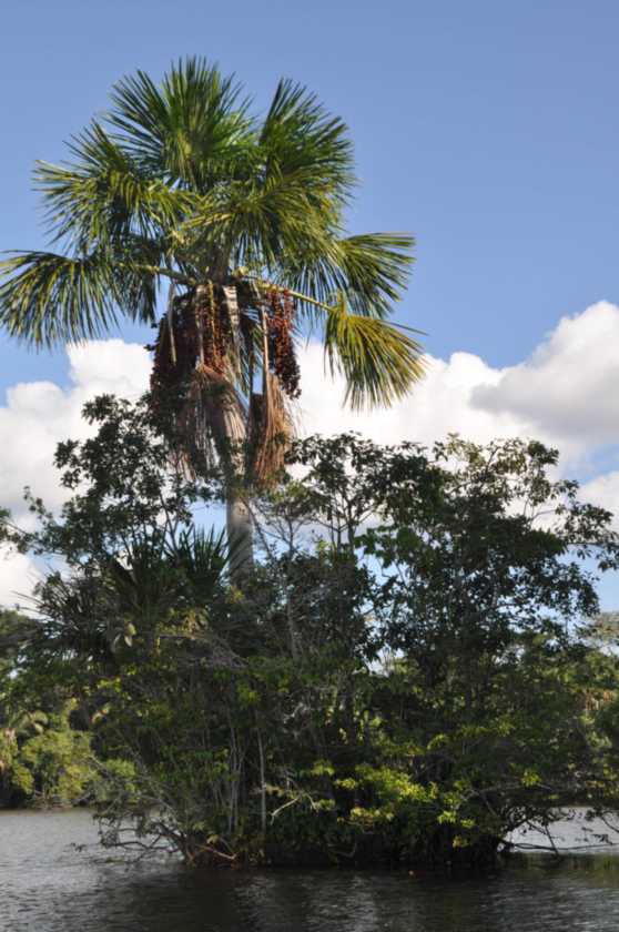 079 110522 Puerto Maldonado