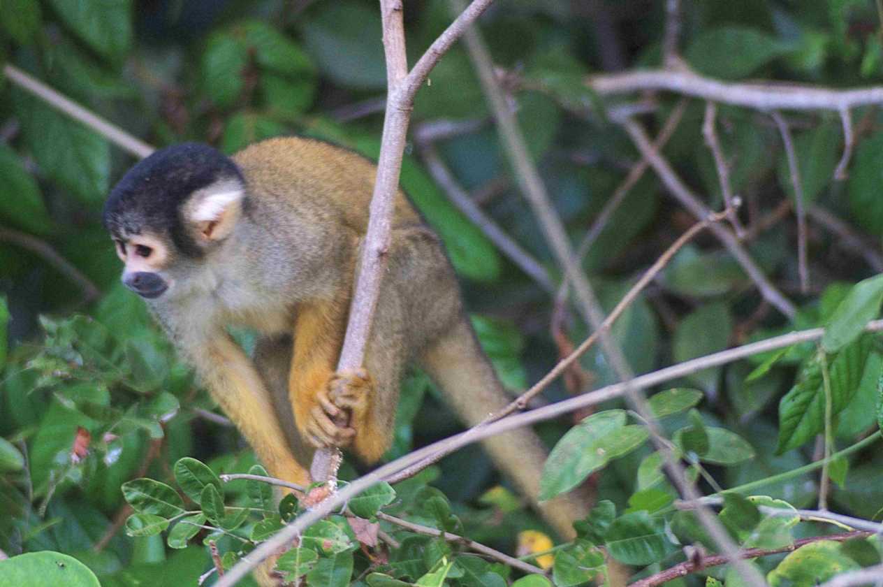 094 110522 Puerto Maldonado