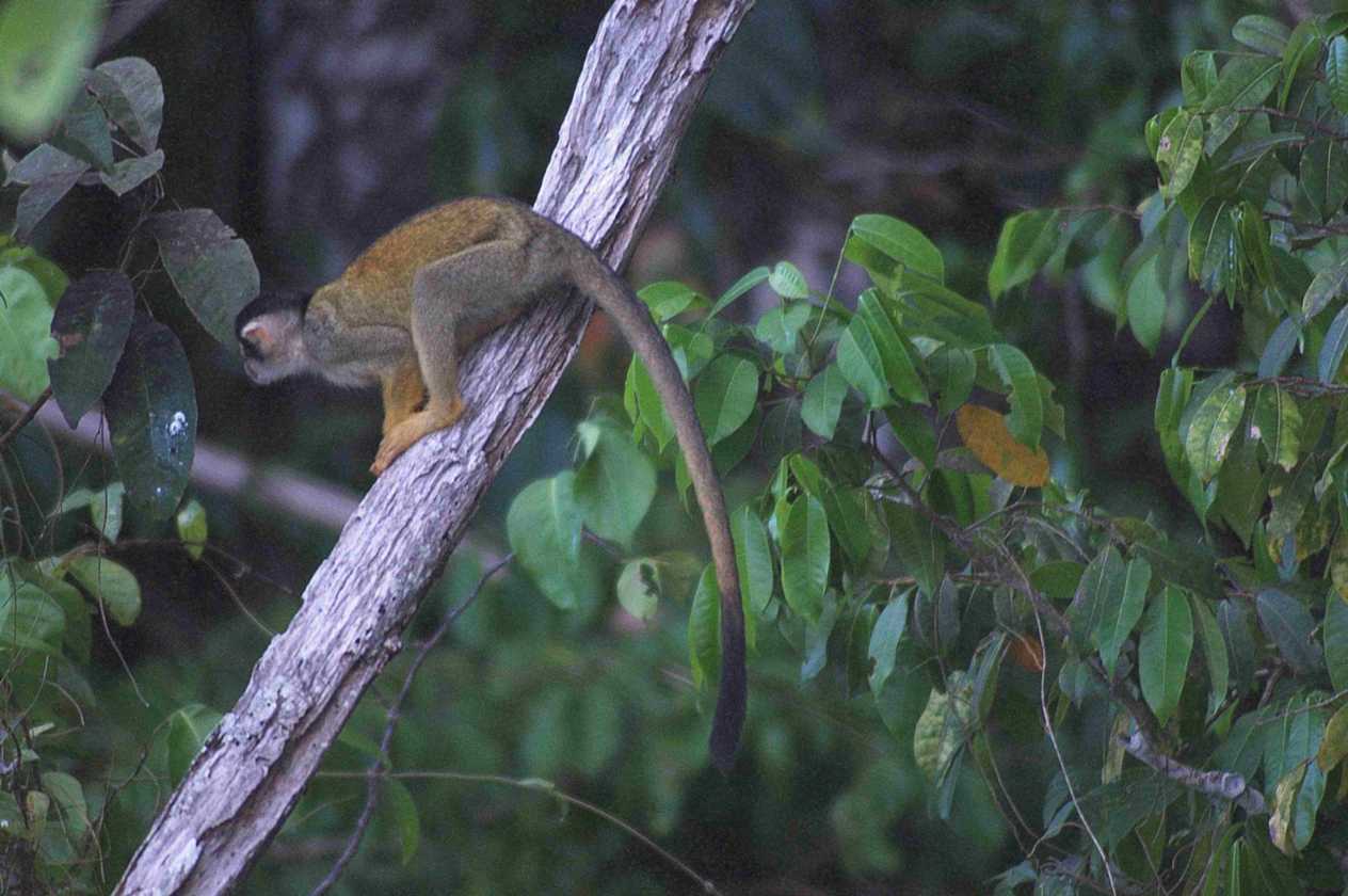 100 110522 Puerto Maldonado