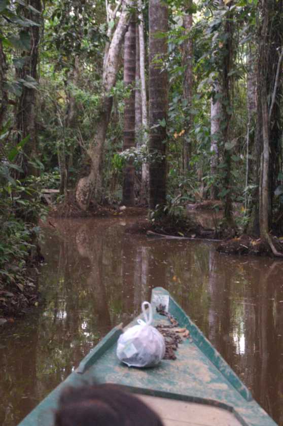 103 110522 Puerto Maldonado