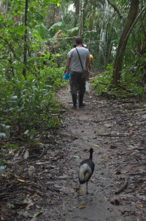 006 110523 Puerto Maldonado