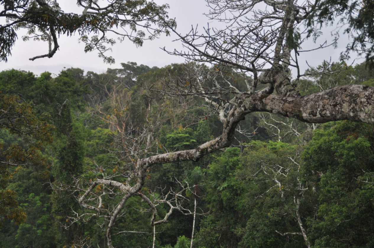 021 110523 Puerto Maldonado