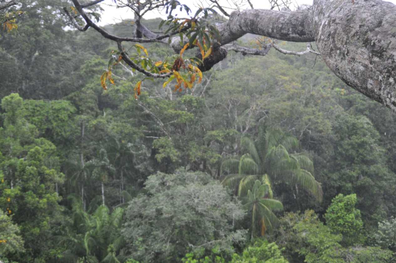 022 110523 Puerto Maldonado