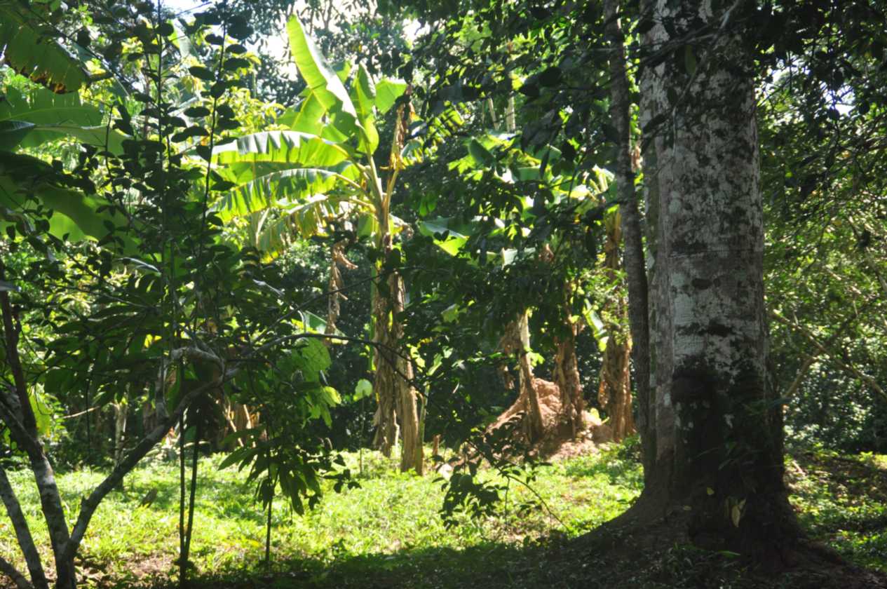 007 110524 Puerto Maldonado