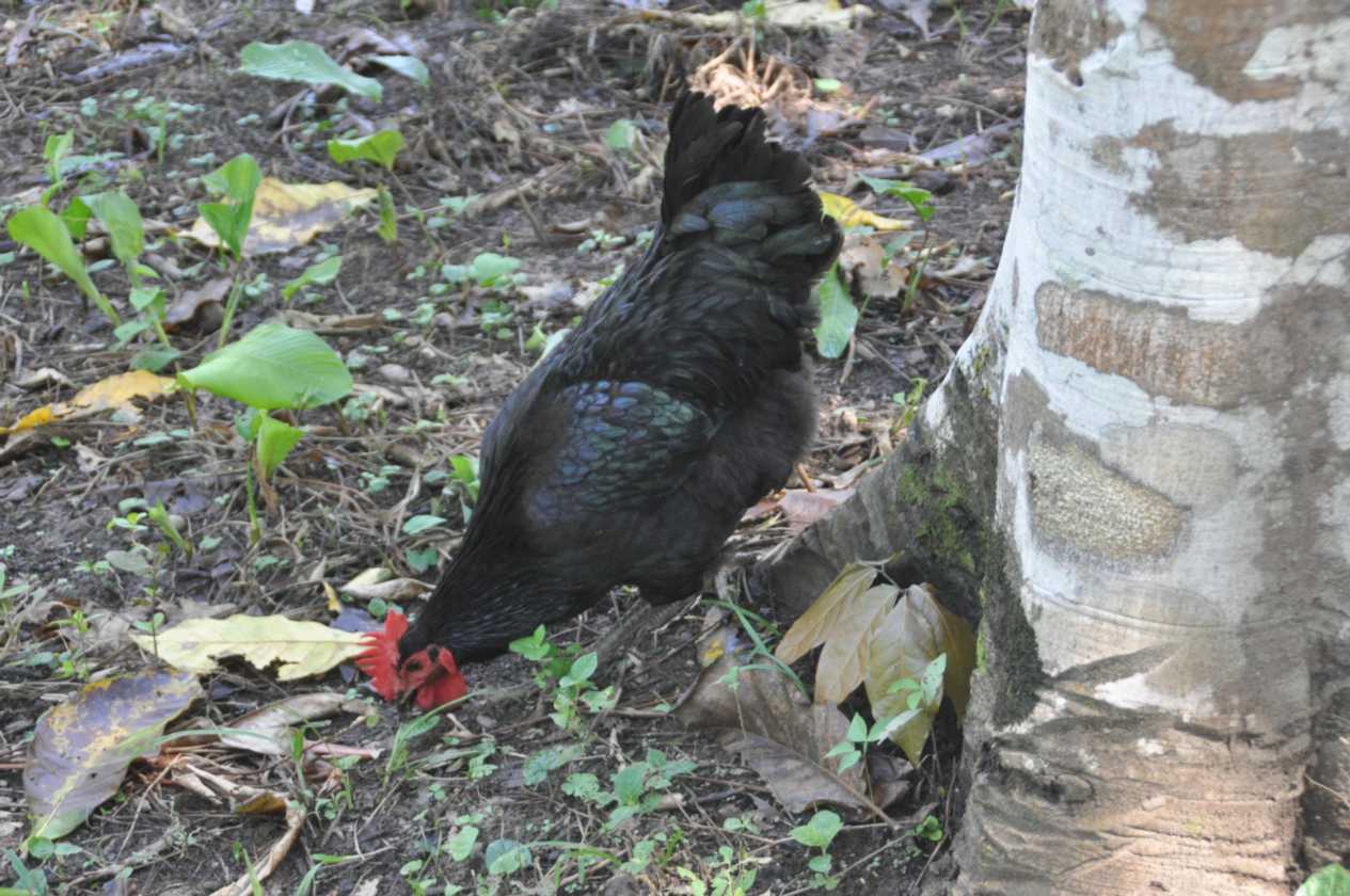 010 110524 Puerto Maldonado