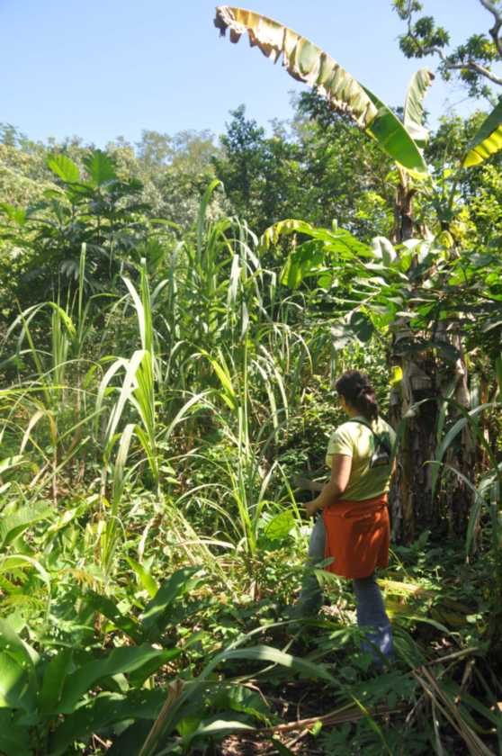 014 110524 Puerto Maldonado