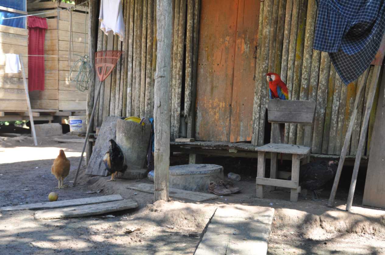024 110524 Puerto Maldonado