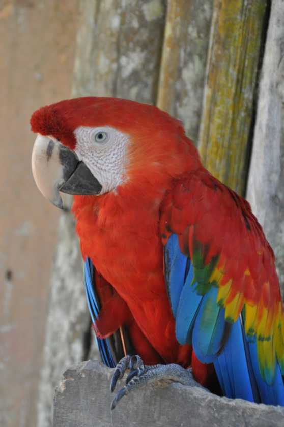 025 110524 Puerto Maldonado
