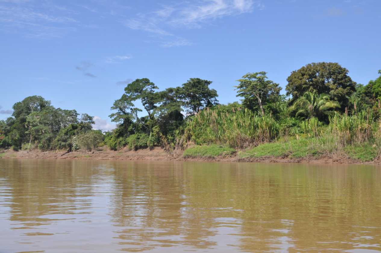 033 110524 Puerto Maldonado