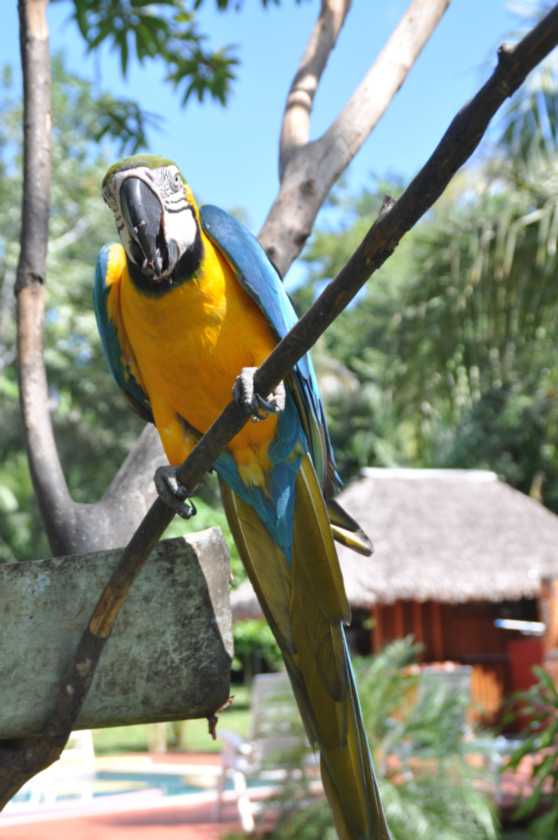 041 110524 Puerto Maldonado