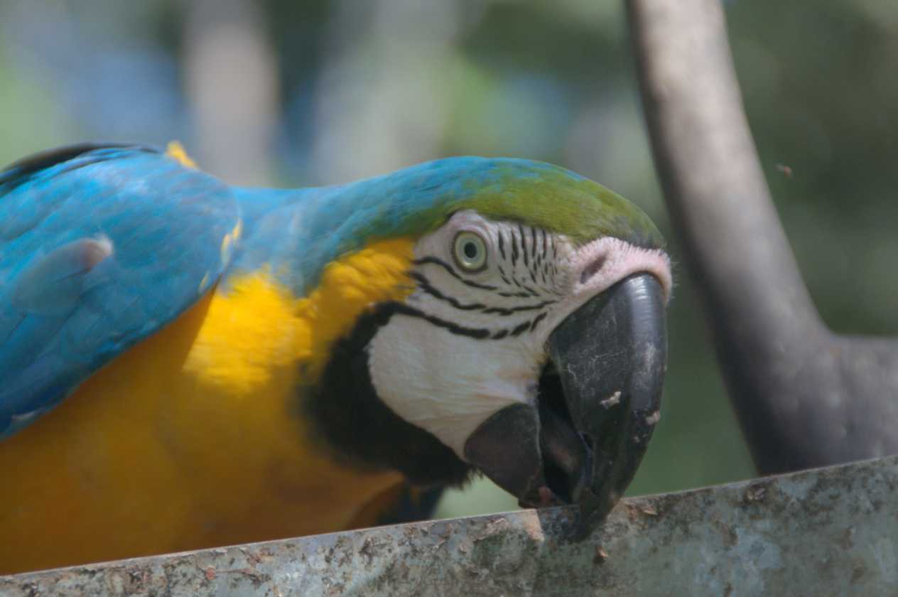 042 110524 Puerto Maldonado