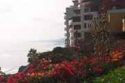 075 110504 Lima