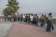 006 110505 Ballestas-Ica