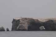 027 110505 Ballestas-Ica