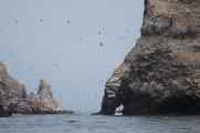 030 110505 Ballestas-Ica