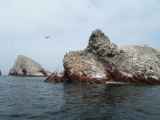 081 110505 Ballestas-Ica