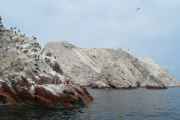 082 110505 Ballestas-Ica