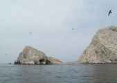 087 110505 Ballestas-Ica