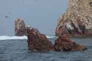 096 110505 Ballestas-Ica
