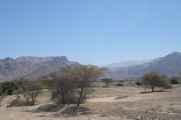 007 110506 Ica-Nazca