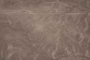 019 110507 Nazca