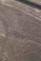 049 110507 Nazca