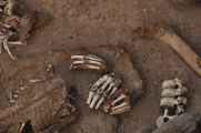 073 110507 Nazca